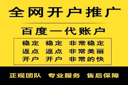 推广竞价策略优化：借鉴经典案例提升效果